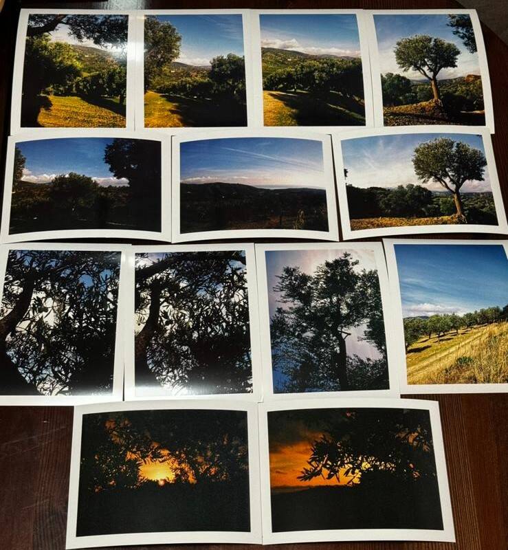 div. Outdoor-Fotografien