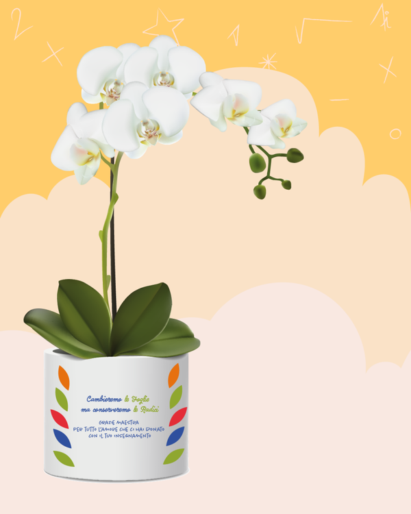 II Vaso | Amore