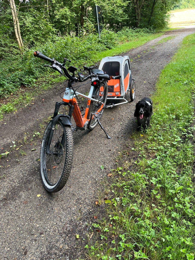 Entspannt und schmerzfrei Radfahren