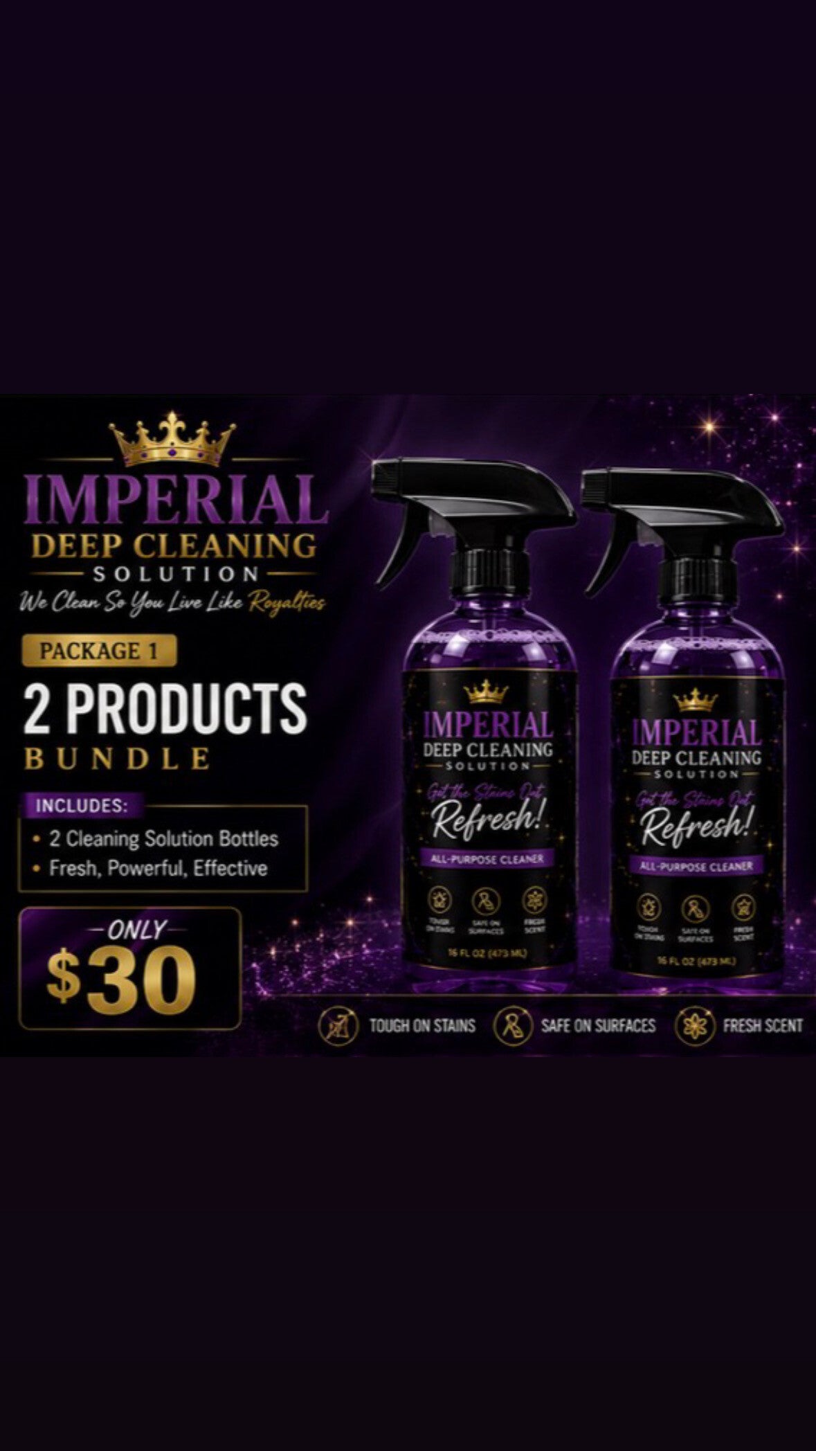 Bundle 1 – 2 Cleaning Solution Bottles