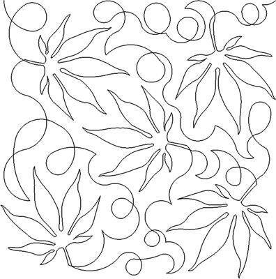 dbd-japanese-maple-standard-unmczg.jpg