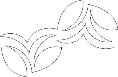 sm171538-bean-sprout-standard.jpg