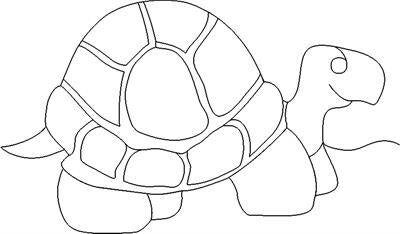 turtlee2e-standard.jpg
