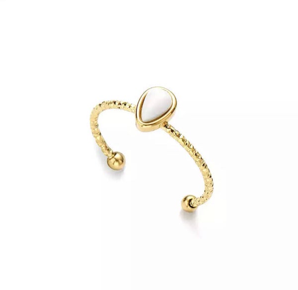 Ring Acier White