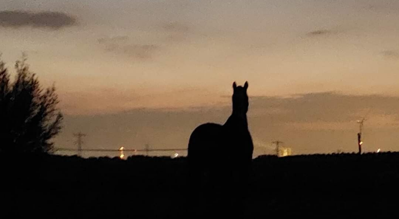 shehe school voorbewustzijn