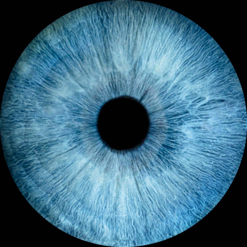 shehe school voorbewustzijn