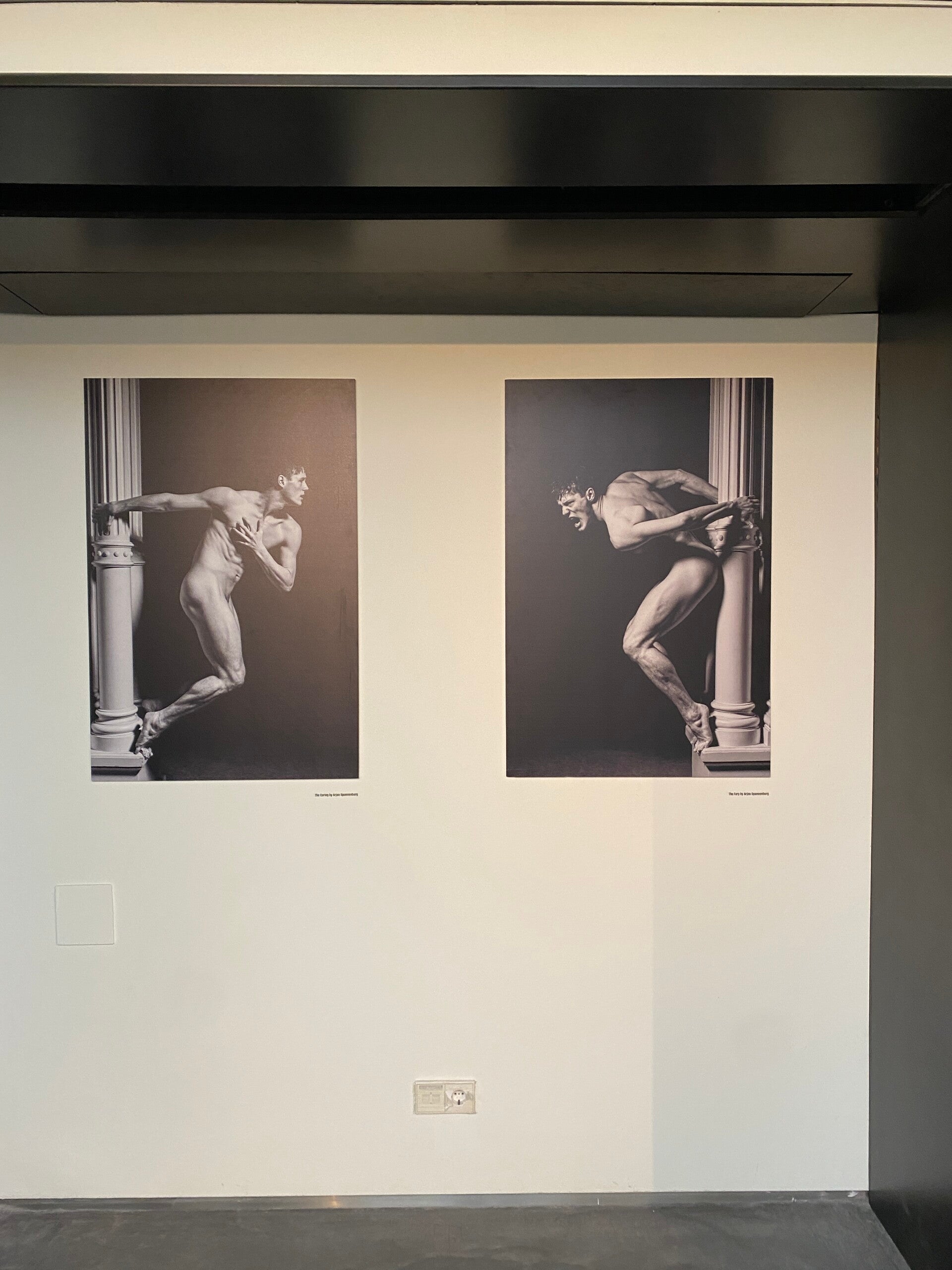 De twee kunstwerken THE CAING & THE FURY in het art'otel in Amsterdam (tegenwoordig NockNock gallery). Twee zwartwibeelden van een naakte danser.