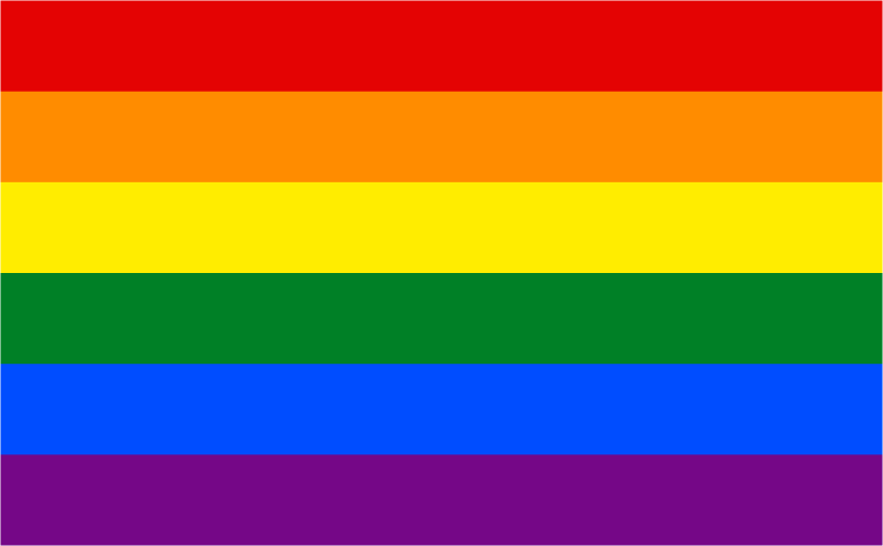 Traditional Pride flag since 1979