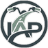 iapichinovenditaautomoto.com