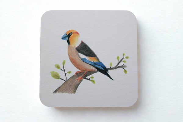 Appelvink