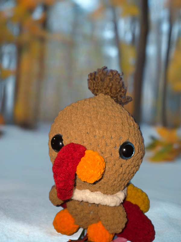 Meet Turk the Turkey, the cutest little gobbler you’ll ever cuddle 🦃💛