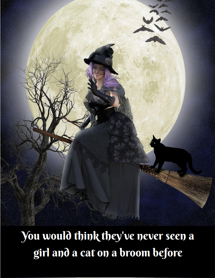 GIRL AND CAT ON A BROOM