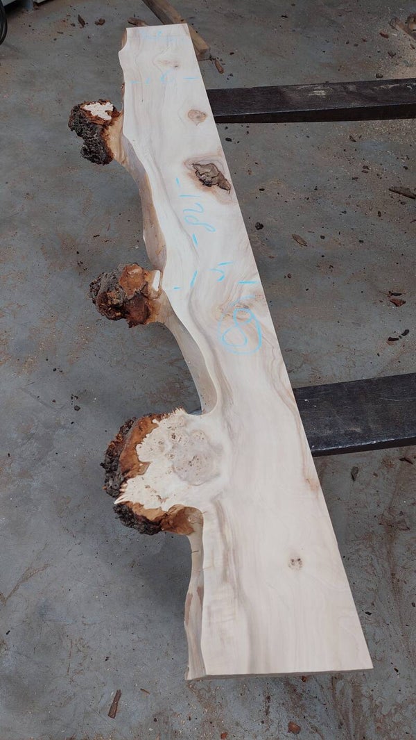 Kastanje met burl schaaldeel 128cm lang  ca. tot 15-25breed. klimaat gedroogd. 08