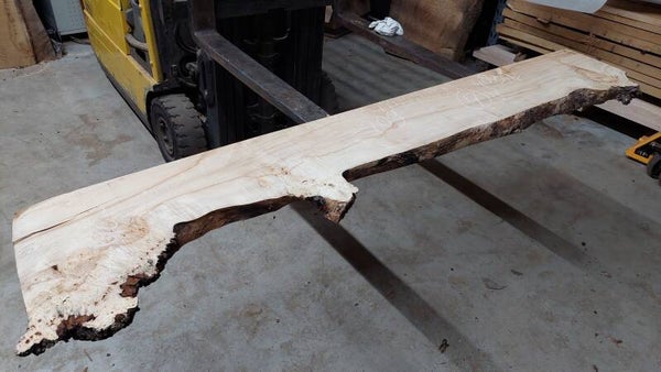 Kastanje met burl schaaldeel 209cm lang  ca. tot /3035 breed. klimaat gedroogd. 17