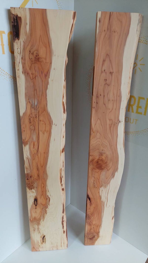 TT11 wandplank duo 2st. taxus met natuurlijke voorkant 120 cm