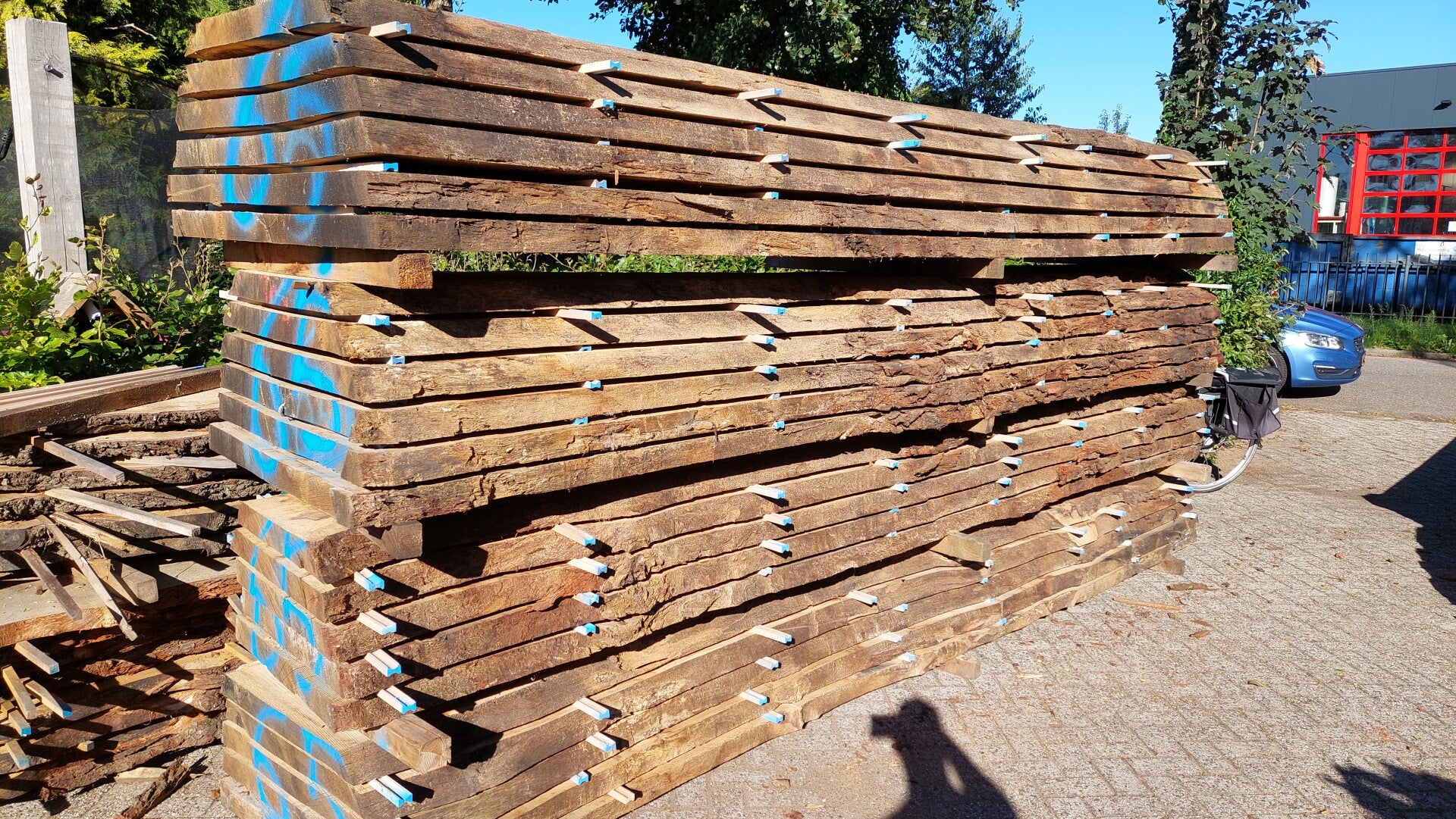 eiken hout stammen kopen 