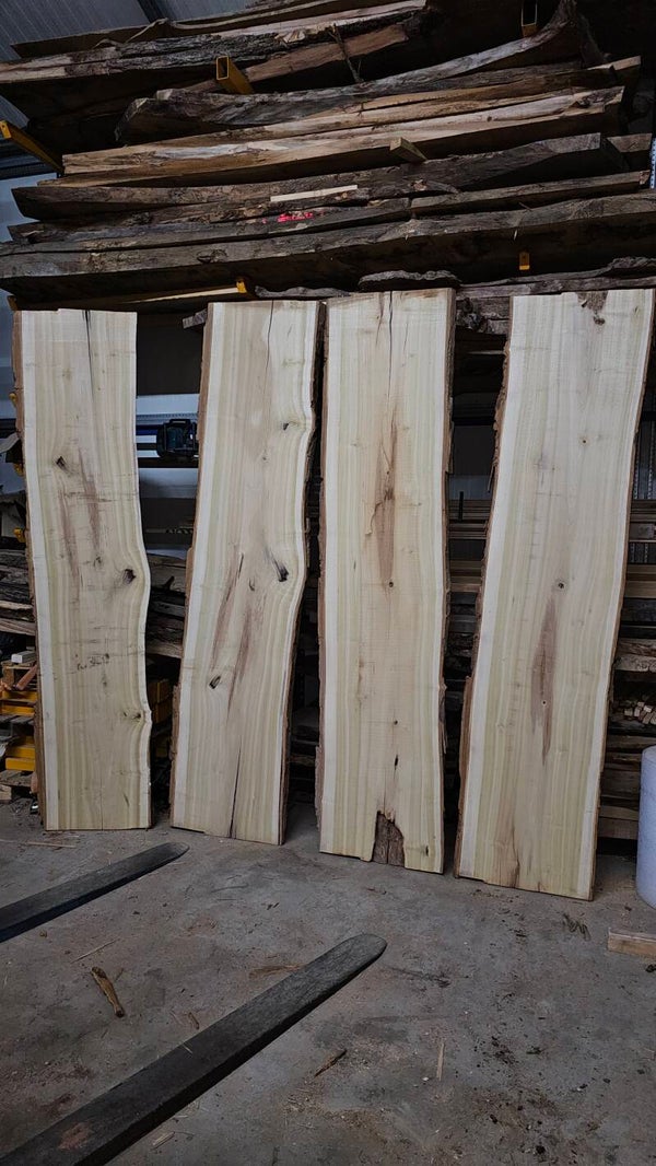 Yellow Poplar schaaldelen set van 4st., 255cm lang  48-60 breed. klimaat gedroogd.