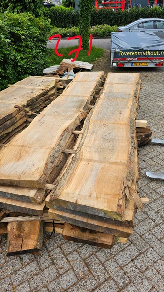 Boomvoet van iepen met burlstructuur zichtbaar