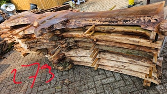 Iepen stam met ent gezaagd in plakken