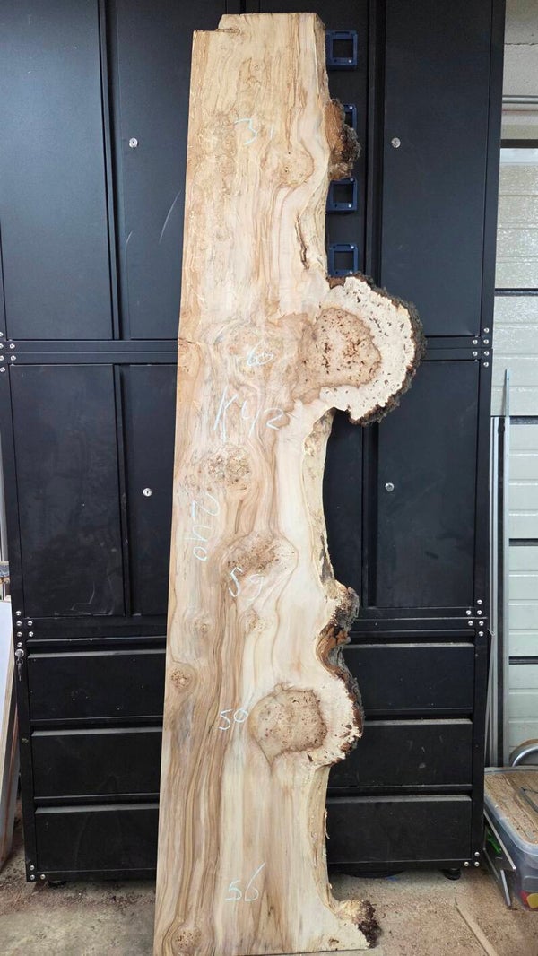 Kastanje burl schaaldelen 230 cm, klimaatgedroogd kastanjehout met unieke vergroeiingen K42