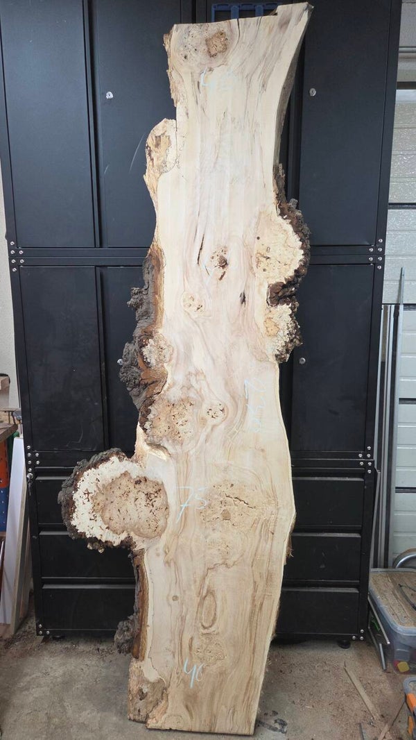 Kastanje burl schaaldelen 230 cm, extra breed klimaatgedroogd kastanjehout voor epoxy projecten K40