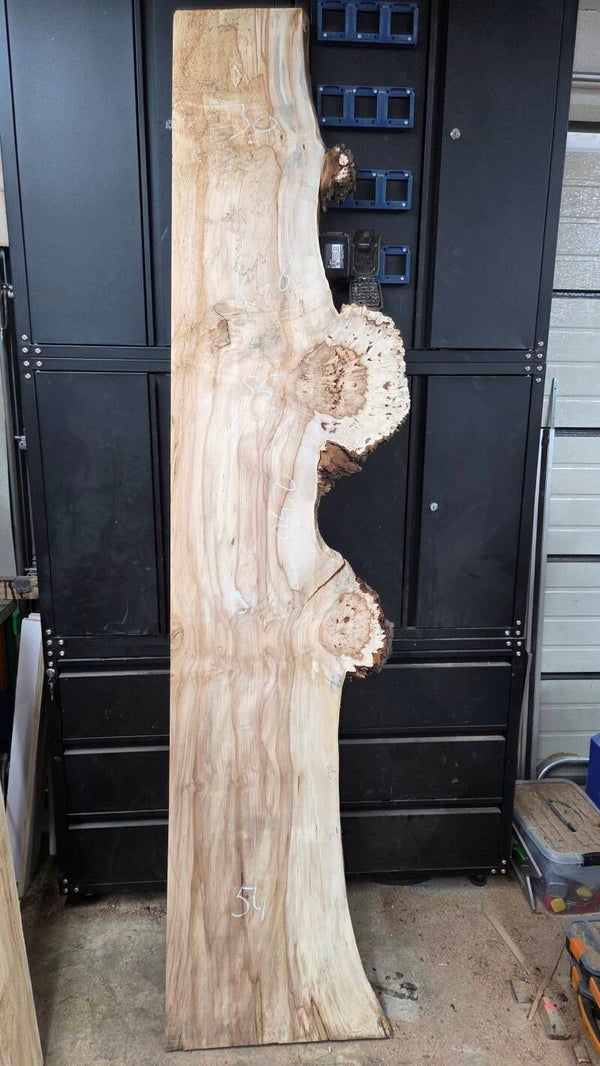 Kastanje burl schaaldelen 230 cm – ruw klimaatgedroogd kastanjehout voor epoxy projecten K46