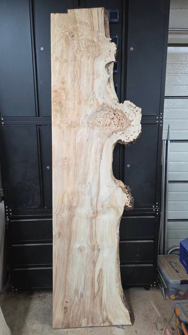 Kastanje burl schaaldelen 230 cm – breed klimaatgedroogd kastanjehout voor epoxy tafels K44