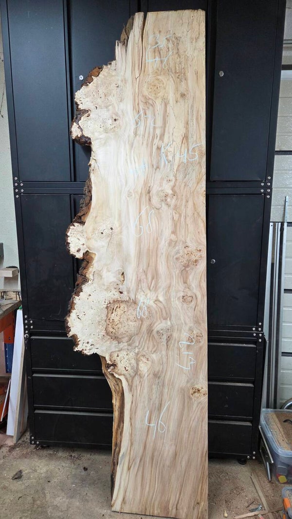 Kastanje burl schaaldelen 230 cm – klimaatgedroogd kastanjehout voor epoxy en maatwerk tafels K45
