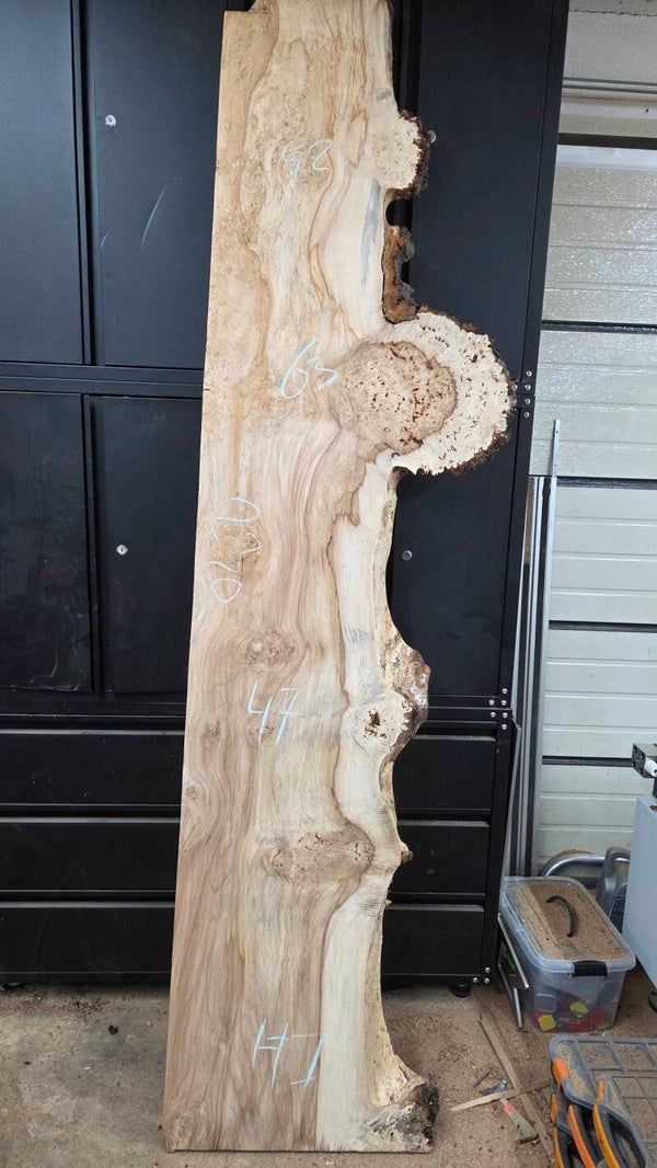 Kastanje burl schaaldelen 230 cm – massief kastanjehout voor epoxy tafels en maatwerk K43