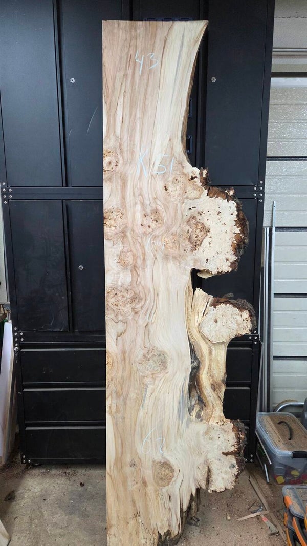 Ruw kastanje burl schaaldelen 230 cm – massief kastanjehout voor epoxy projecten K51