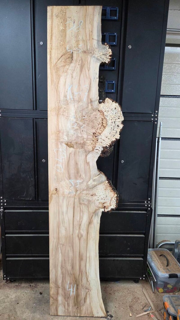 Kastanje burl schaaldelen 230 cm – klimaatgedroogd kastanjehout voor epoxy en maatwerk meubels K47