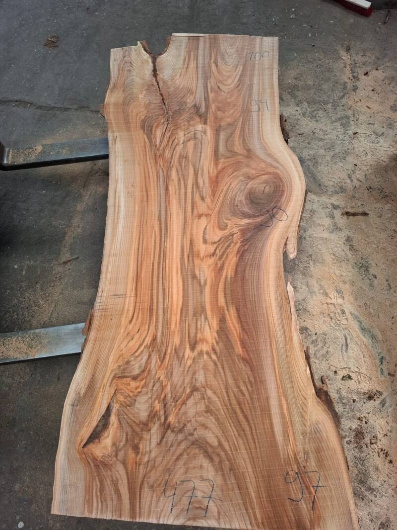 Extra breed boomstam tafelblad uit Nederlands elm