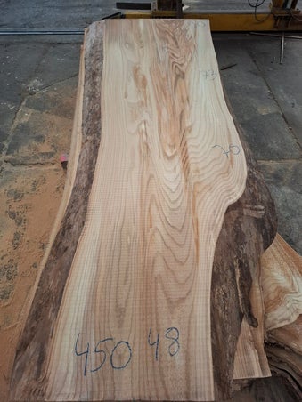 Massief schaaldeel van gestoomd Nederlands iepen elm ideaal voor eettafels