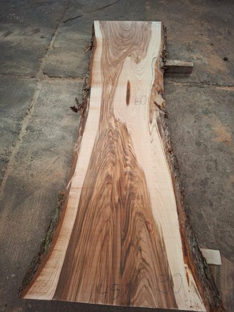 Massief gestoomd schaaldeel van Nederlands iepen (elm)