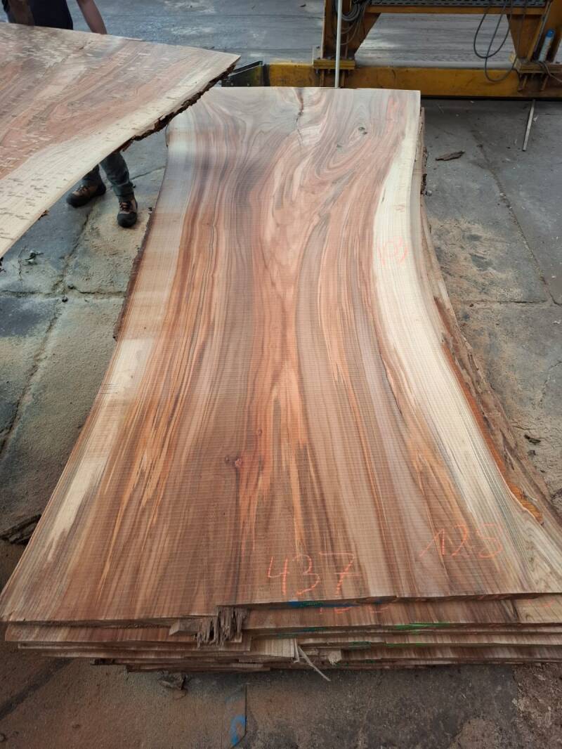 Groot tafelblad uit Nederlands iepen (elm/ulm), gestoomd en massief