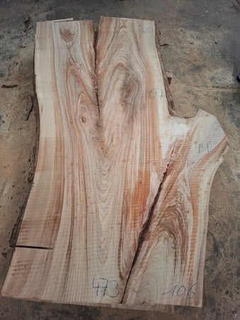 Groot boomstam tafelblad 120 cm breed natuurlijk