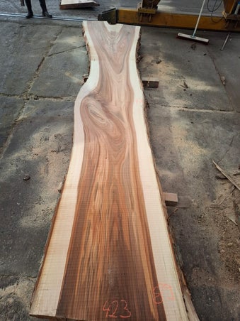 Massieve plank van gestoomd Nederlands iepenhout, geschikt voor eettafels