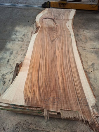 Massief plankdeel van ulmus hout, ideaal voor tafelbladen