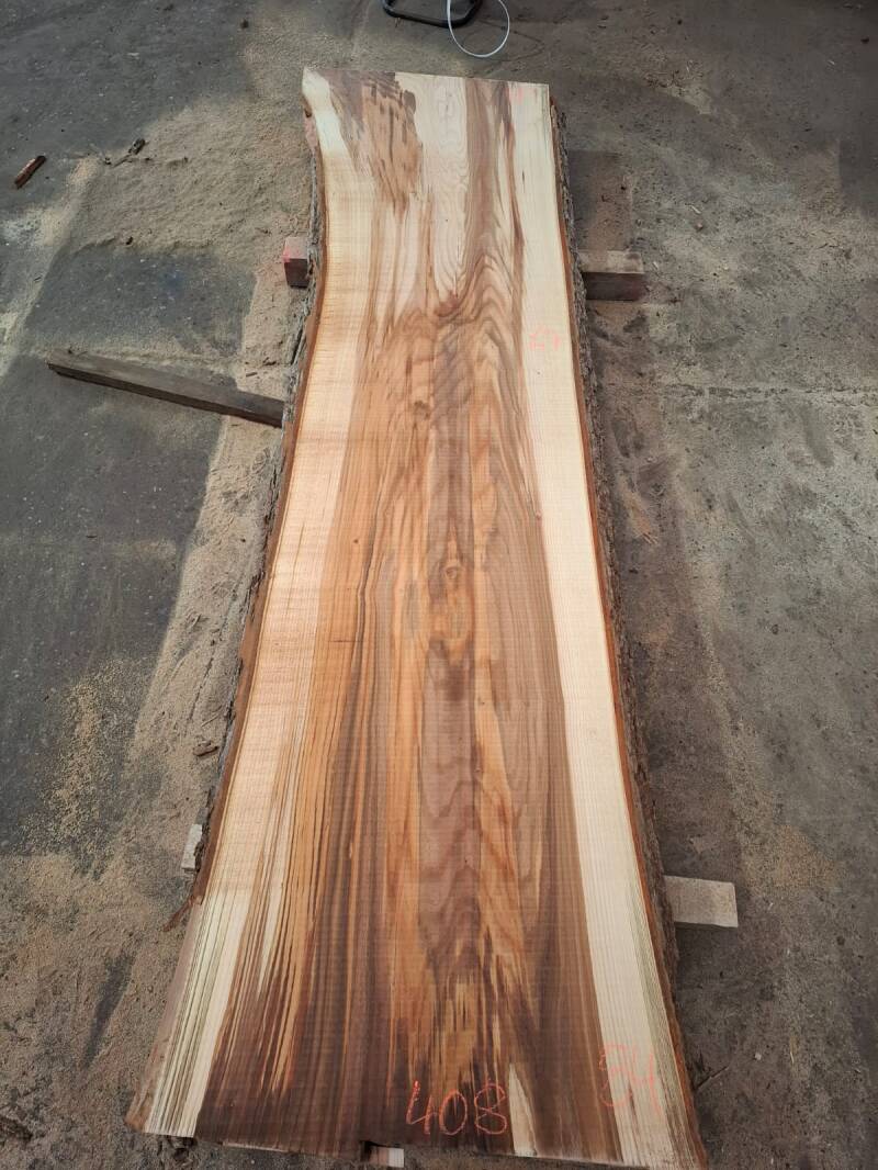 Brede plank uit ulmus elm meer dan 1 meter breed