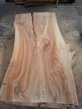Groot schaaldelen blad uit gestoomd Nederlands iepenhout