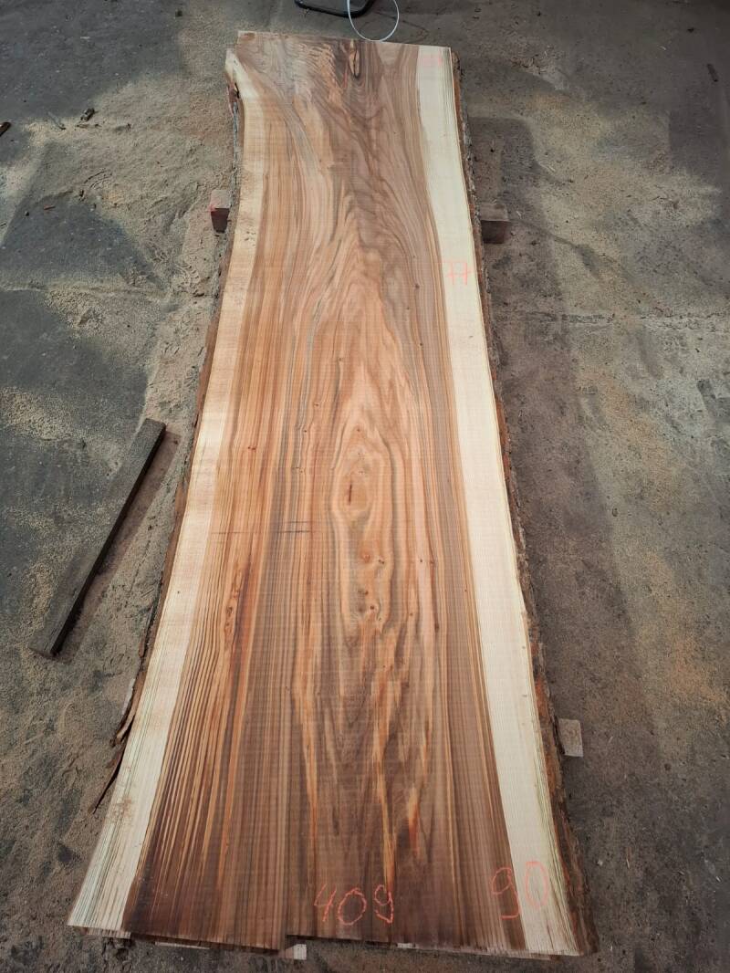 Groot schaaldelen tafelblad van gestoomd Nederlands iep