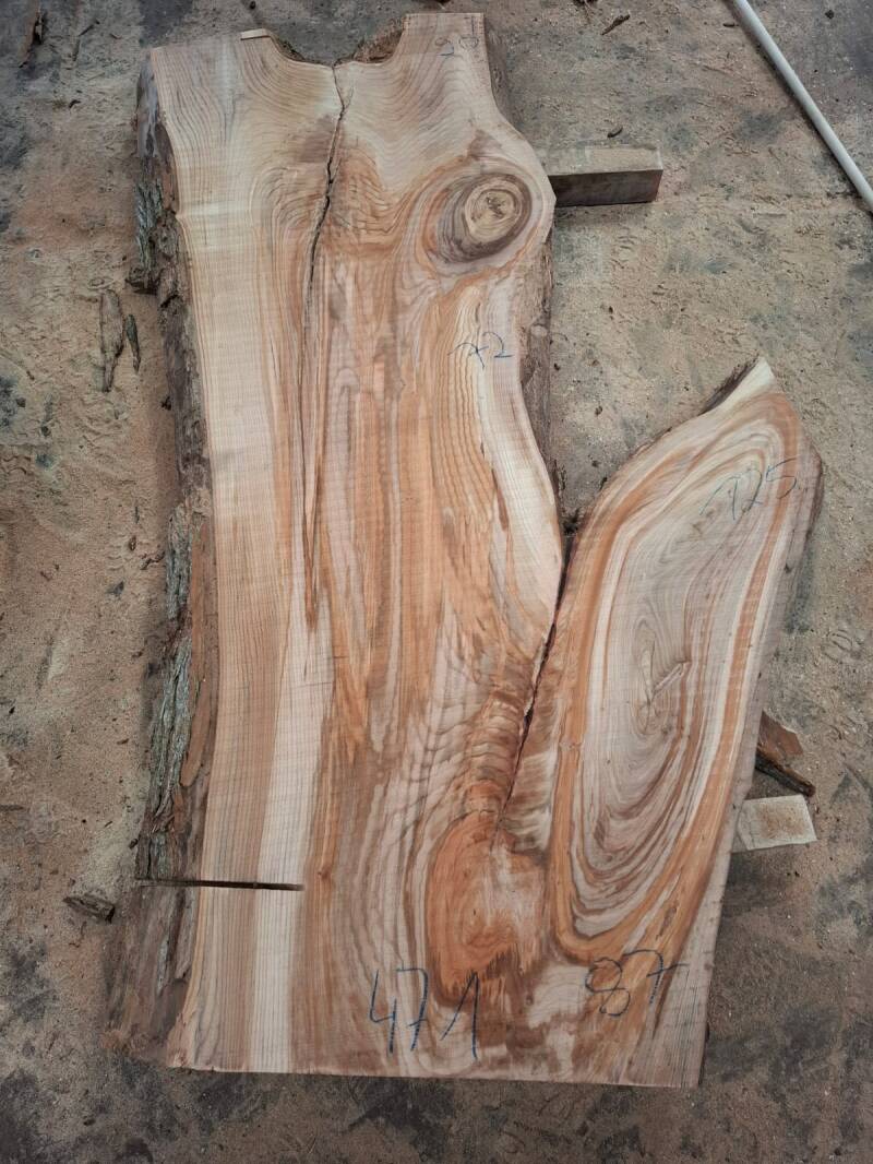 Groot boomstamplank tafelblad ruim 120 cm breed