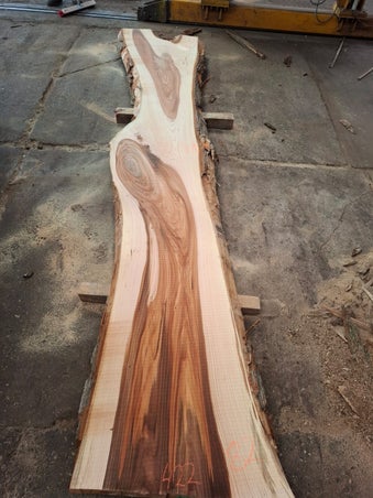 Gezaagd en gestoomd iepenhout (elm), meer dan 100 cm breed