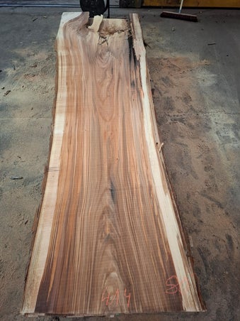 Massief boomstamplank tafelblad van gestoomd iep elm