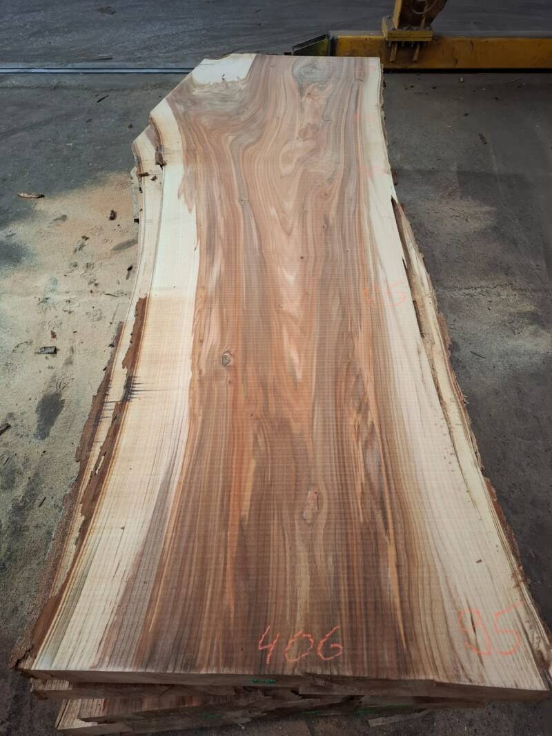 Gestoomd iepenhout uit Nederland, breed plankdeel voor maatwerk tafel