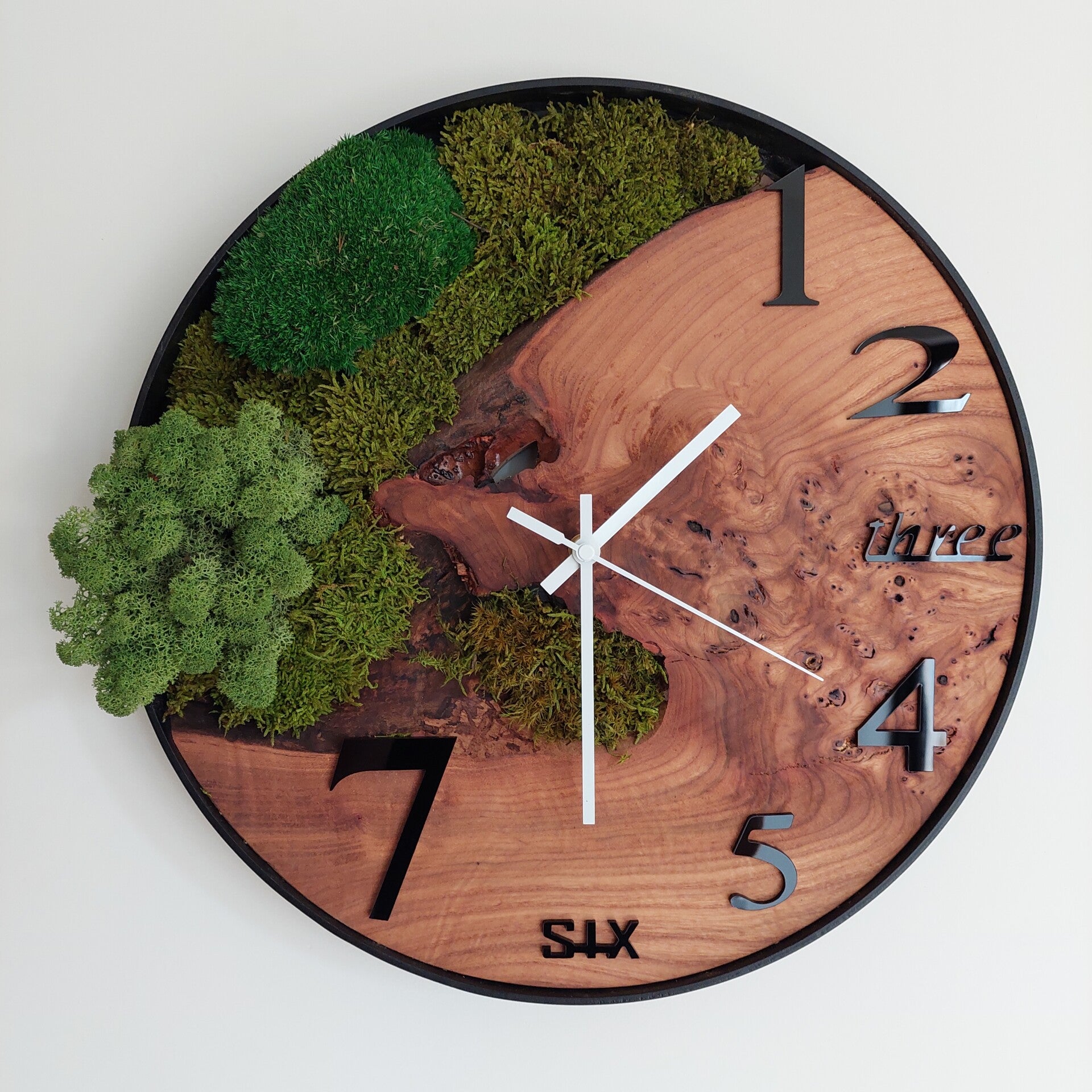 De mos klok 40cm, iep burl en mos, cijfers en letters, wit uurwerk