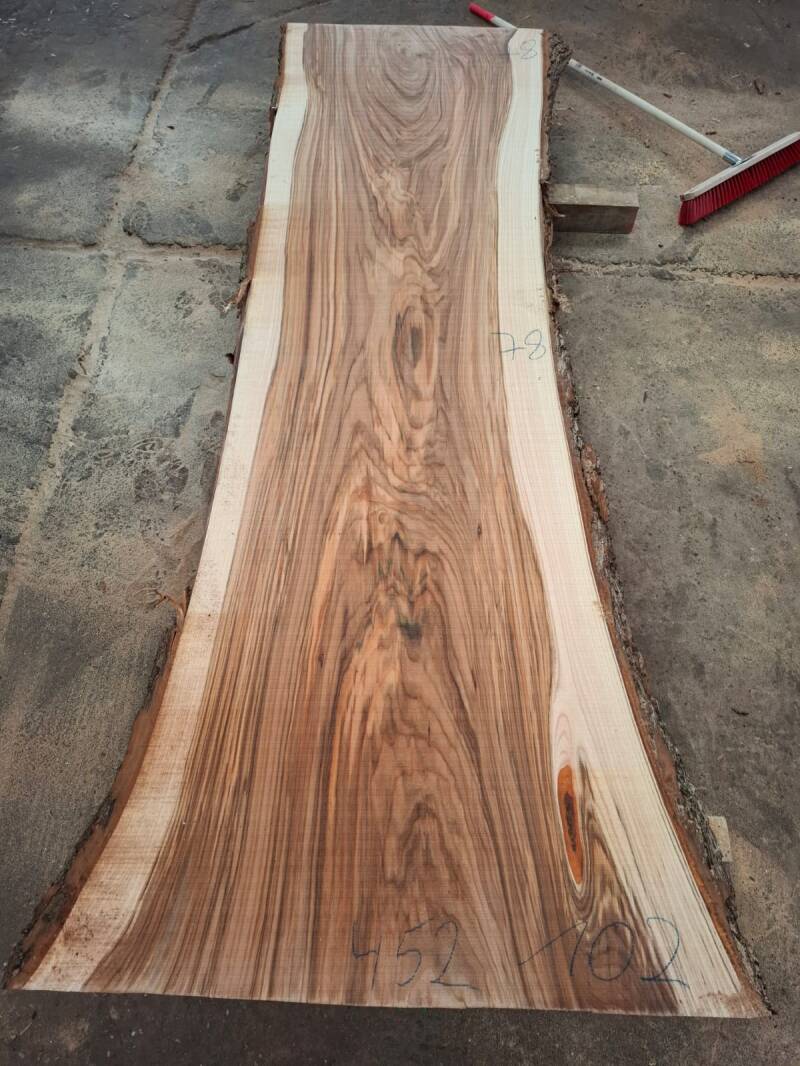 Massief schaaldeel van Nederlands iepen elm ulm meer dan 100 cm breed