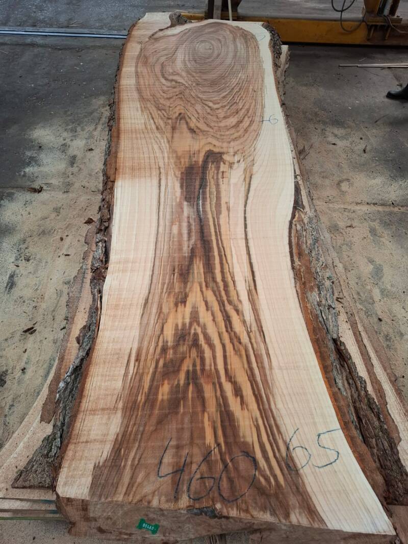 Breed gestoomd schaaldeel uit inlands iepenhout geschikt voor tafelbladen