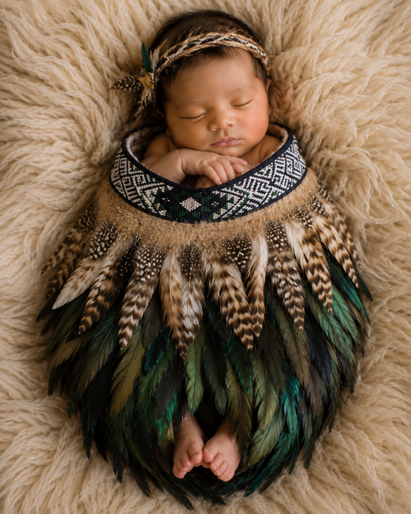 Kāhu Huruhuru - Newborn