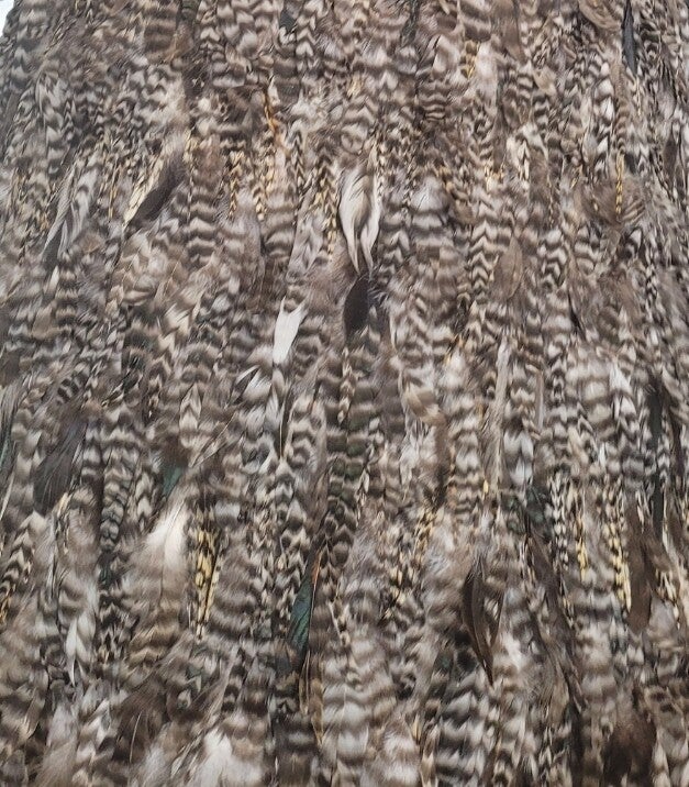 Kāhu Huruhuru - Adults Half Length